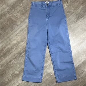Marine Layer Light Blue Pants